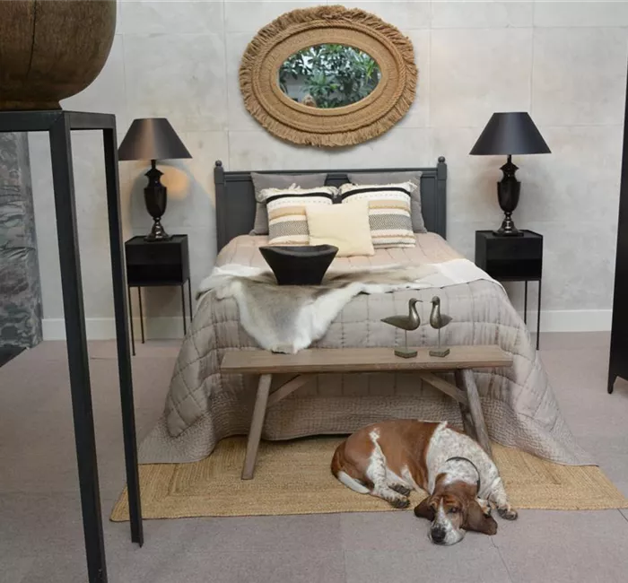Home Stager Home Stager